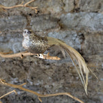 Load image into Gallery viewer, Pale Gold Glitter Bird with Feather Tail
