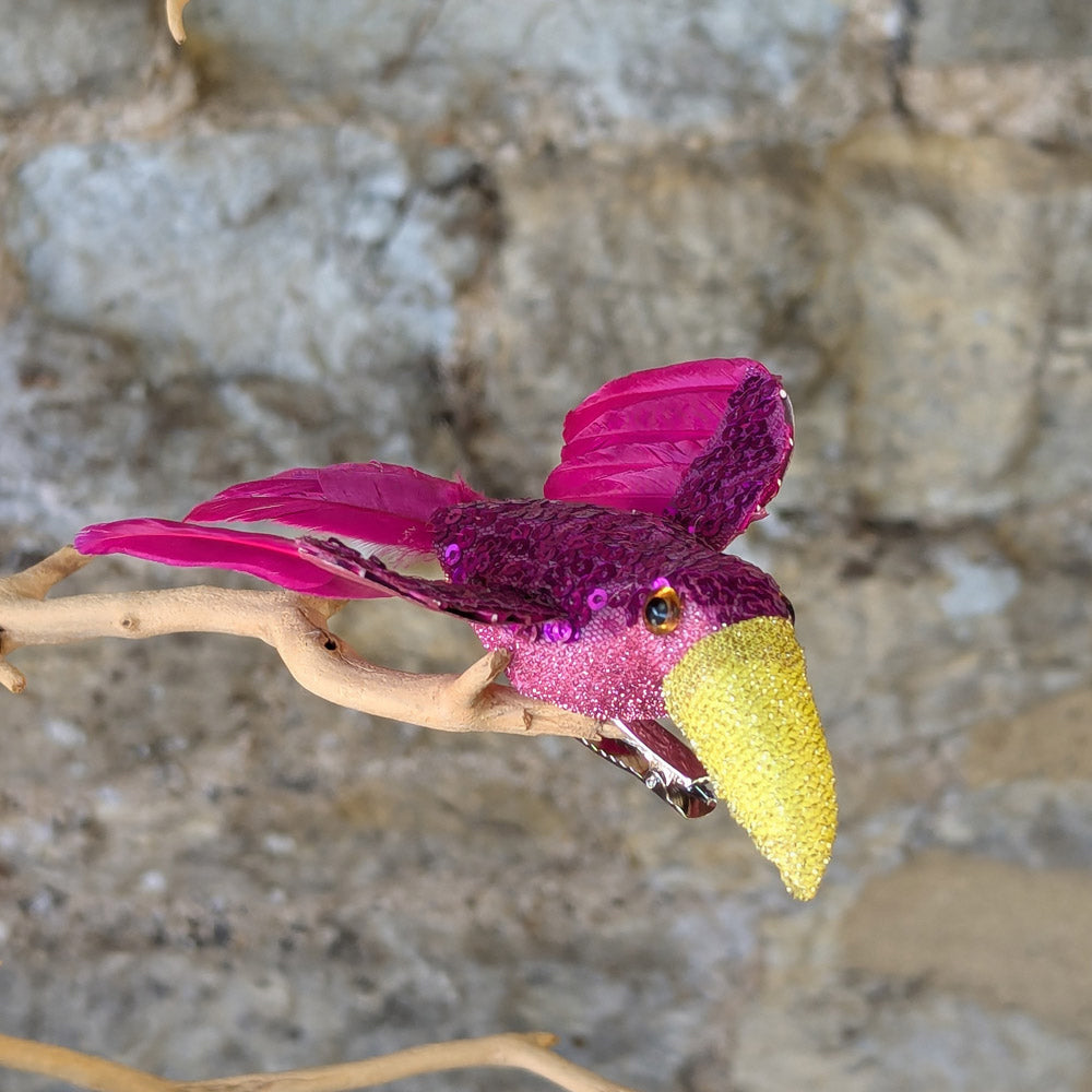 Flock, Sparkle and Feather Toucan Clip
