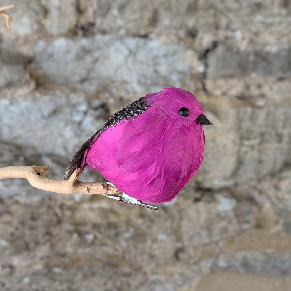Fuchsia Clip On Round Bird Decoration