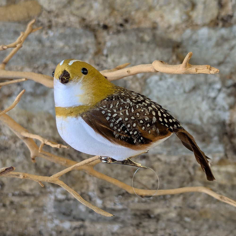 Natural Feather Partridge Decoration with fastening clip