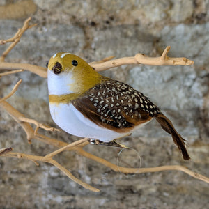 Natural Feather Partridge Decoration with fastening clip